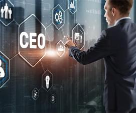 Company Owner CEO/CFO Database